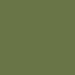 Olive Suede