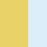 Yellow & Pale Blue