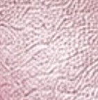 Metallic Pink